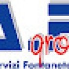 S.A.F. noleggio minibus ed autobus con autista