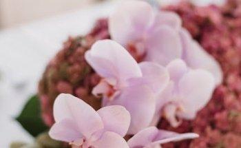 The Ibiza Wedding Planner