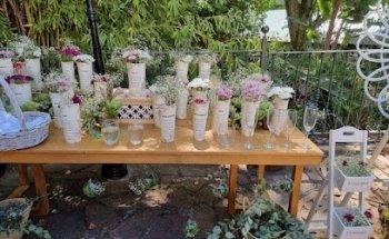 Nika Weddings & Events