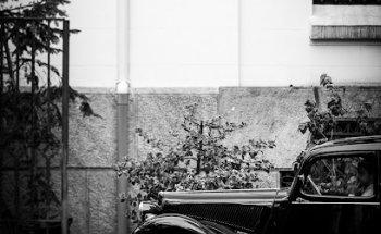 Serpentinas Wedding Planner