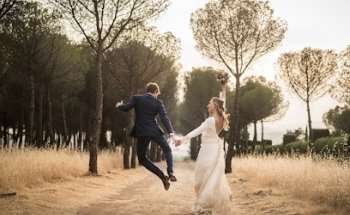 THE BIG DAY / organizador de bodas