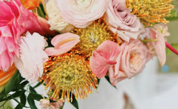 Rose weddings