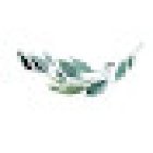 El taller de nice day | Wedding Planner Girona